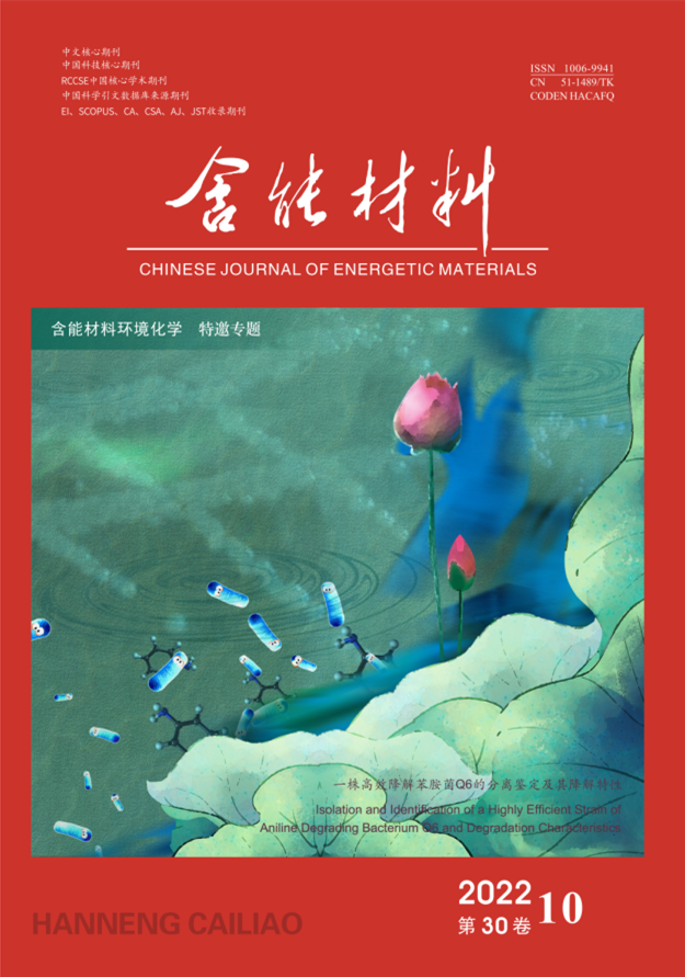 含能材料环境化学 特邀专题